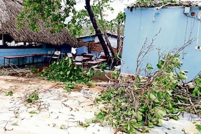 SEP contabiliza 4 millones de alumnos afectados por sismos