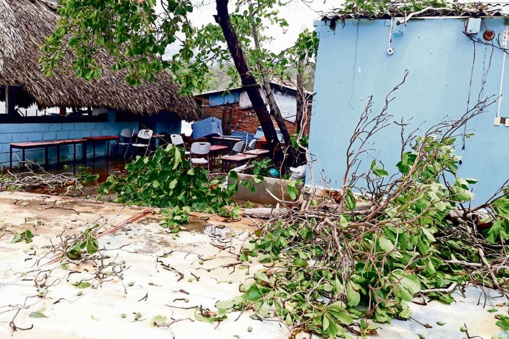 Según la SEP, 978 escuelas presentan daños, equivale a 10% del total de los planteles de la Ciudad de México de todos los grados (ESPECIAL)