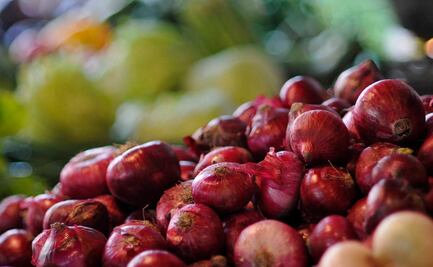 Vinculan brote de salmonelosis en EU a cebollas cultivadas en Chihuahua