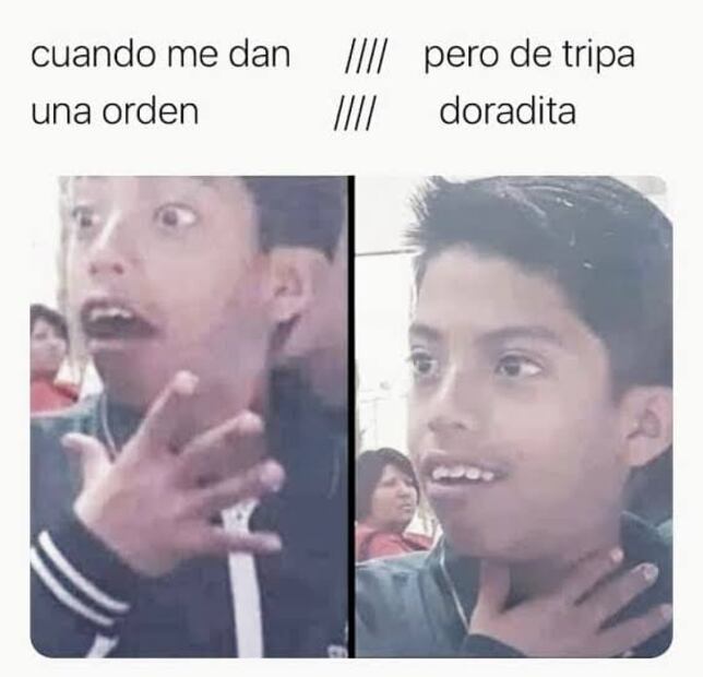 El niño del meme reaparece, es estrella de TikTok y tiene club de fans