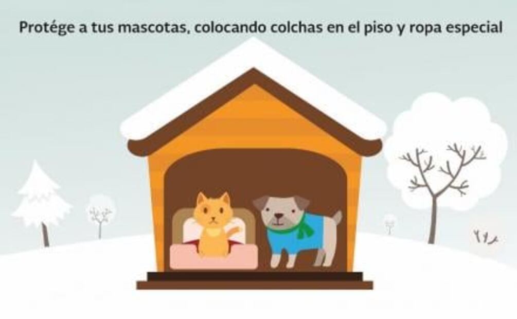 Entérate. Recomendaciones ante las bajas temperaturas