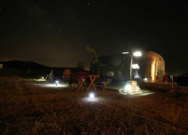Duerme en un viñedo
