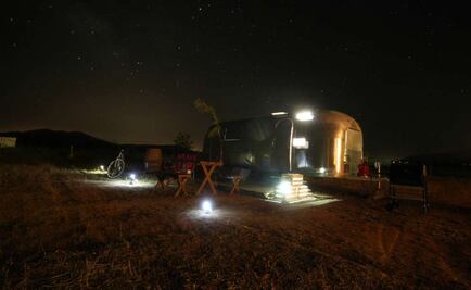 Duerme en un viñedo