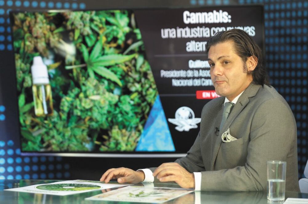 Guillermo Nieto, presidente de la Asociación Nacional de la Industria del Cannabis (Anicann), afirmó que con la regulación del cáñamo millones de mexicanos saldrían de la pobreza extrema y ayudaría a la ecología. Foto: VALENTE ROSAS. EL UNIVERSAL