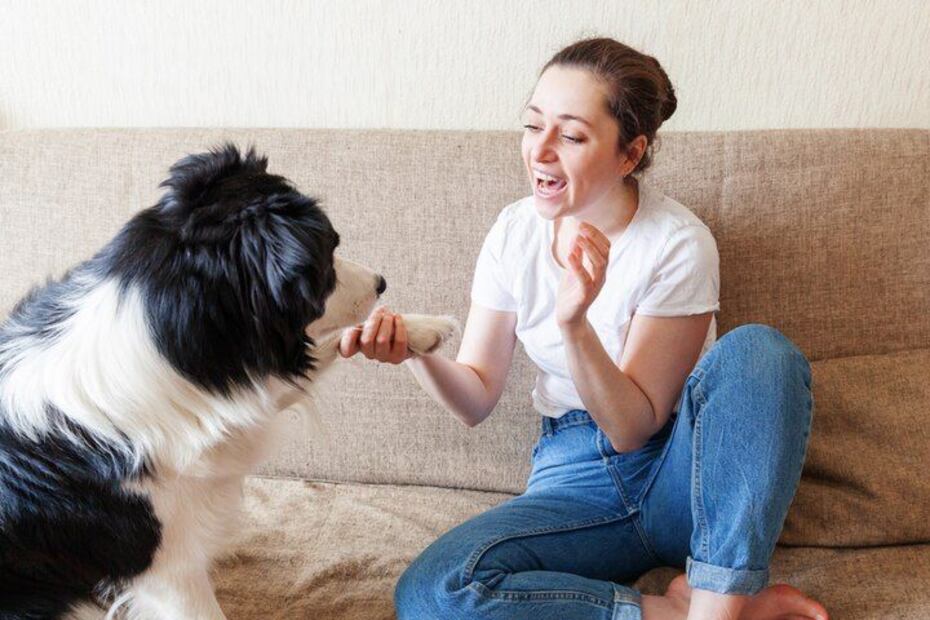 Las frases que hacen latir el corazón de tu perro. Fuente: Freepik.