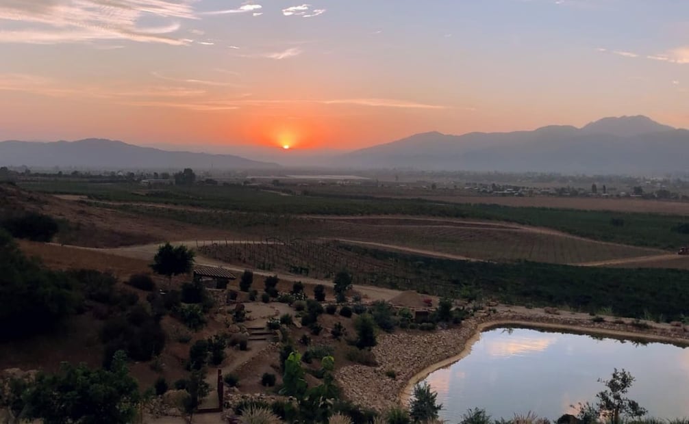 Marina del Pilar anuncia obras viales en Valle de Guadalupe, Baja California; reforzarán seguridad turística.
Foto: Especial.