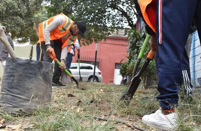 ¿Cuántas personas cumplieron con trabajos comunitarios por faltas cívicas en CDMX este 2023?