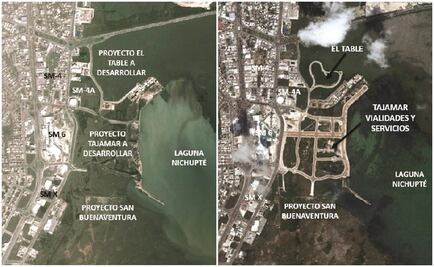 Calderón puso lápida a manglar de Tajamar