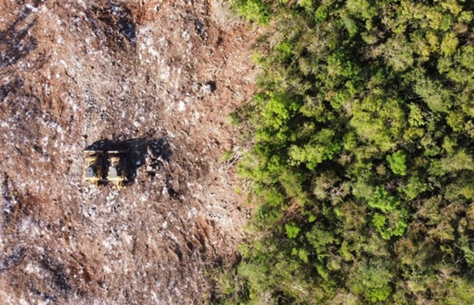 Dan premio a EL UNIVERSAL por foto de “huella” del Tren Maya sobre la selva