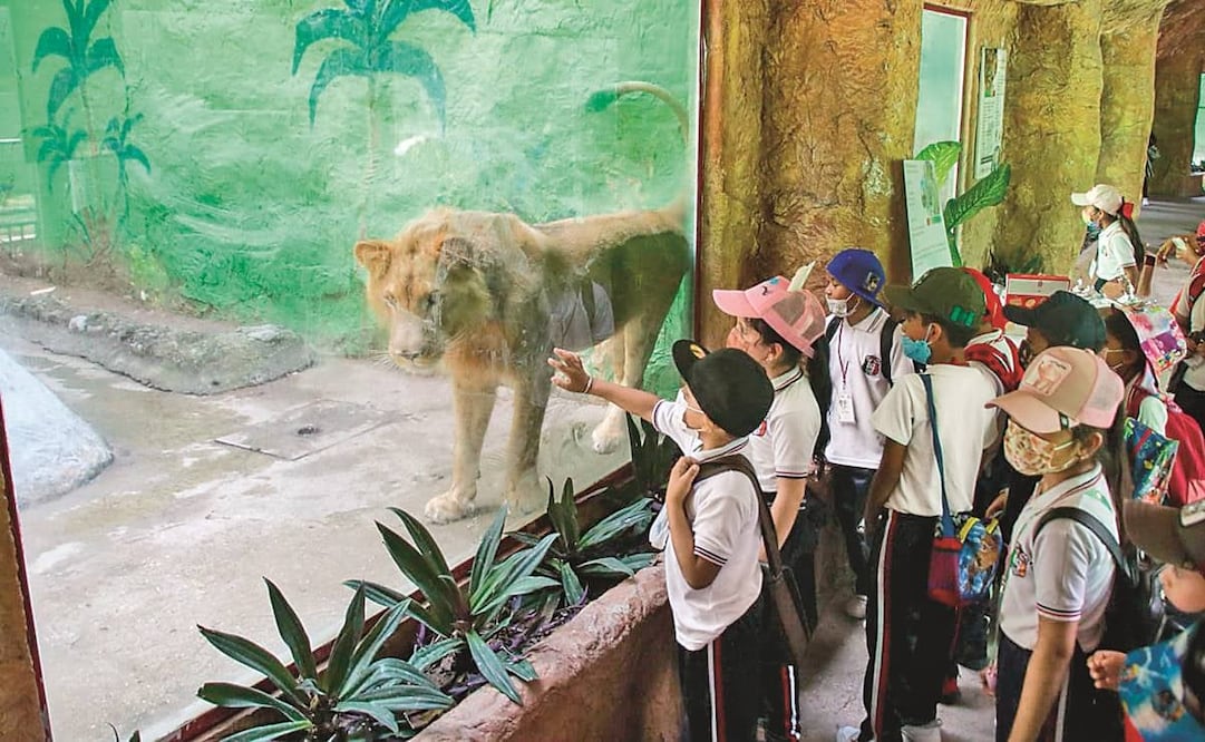 Tras escándalos por el presunto descuido de animales, la Profepa y Semarnat analizan si hay anomalías en el zoológico de Chilpancingo, Zoochilpan. Foto: Oscar Guerrero/ EL UNIVERSAL