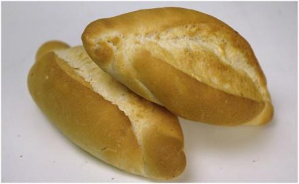 What to do with food waste?