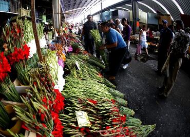 Alistan venta nocturna de flores en Central de Abasto