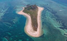 La isla de Veracruz con playas de arena blanca, como el Caribe