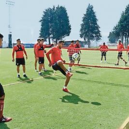 A implantar el sello de La Volpe