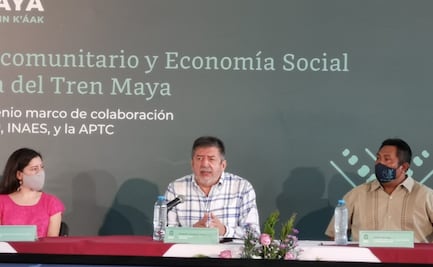 Colapso en Línea 12, "advertencia oportuna" para desarrollo del Tren Maya: Fonatur