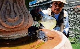 Llama la Ssa a prevenir el dengue y chikungunya