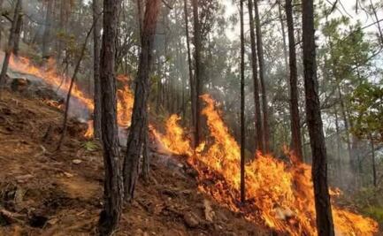 Reportan incendio forestal en municipio de Oaxaca; es la misma localidad que hizo llamado por posible ataque armado
