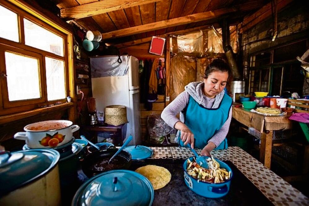 A más de 3 mil metros sobre el nivel del mar yace el bosque de niebla de San Antonio Cuajimoloyas. Ahí, en el mes de julio, los hongos son los visitantes más esperados en la mesa de los habitantes. Foto: Mario Arturo Martínez / El Universal