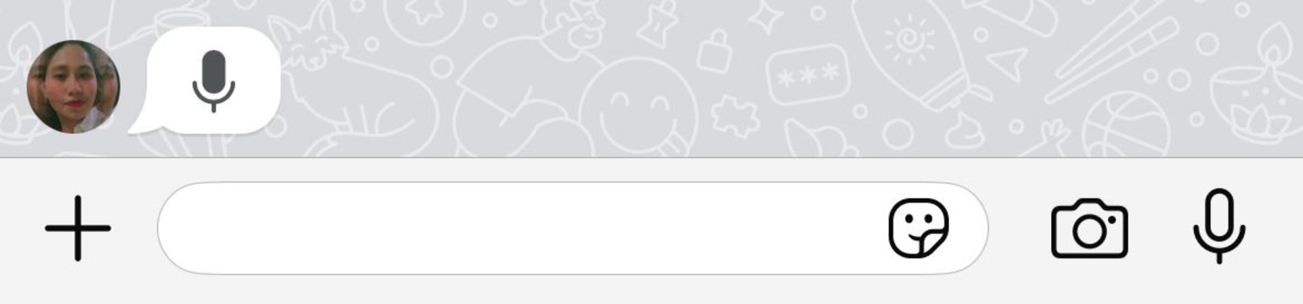 Nuevos íconos en los chats de WhatsApp. Foto: Captura de pantalla