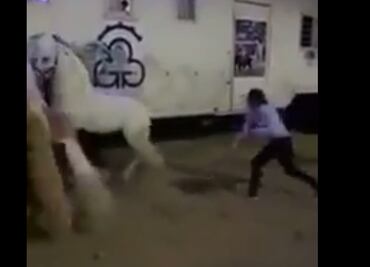 Video. Rejoneador golpea a caballo