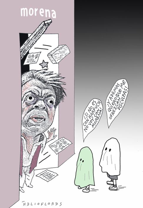 Cartón de HELIOFLORES