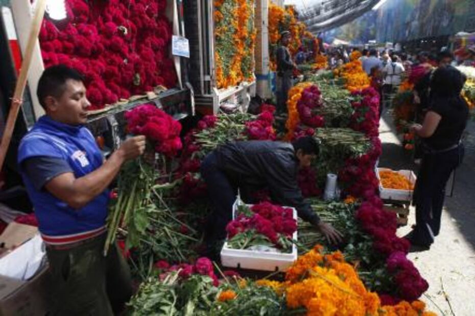 El gigante que vende flores