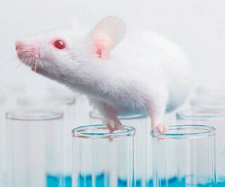 Alternativas experimentales al uso de animales