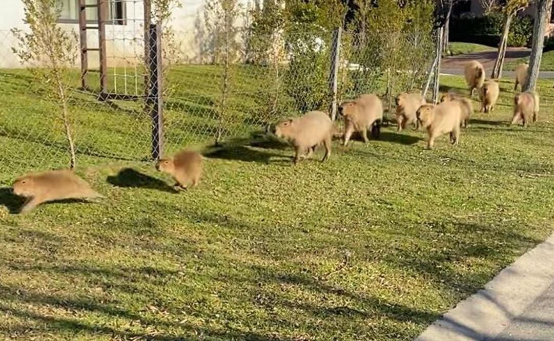Foto: La Nación Argentina 