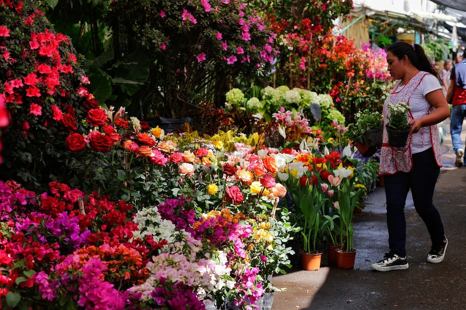 Las rosas son unas de las flores más populares en estas fechas. Foto: Fernanda Rojas | El Universal