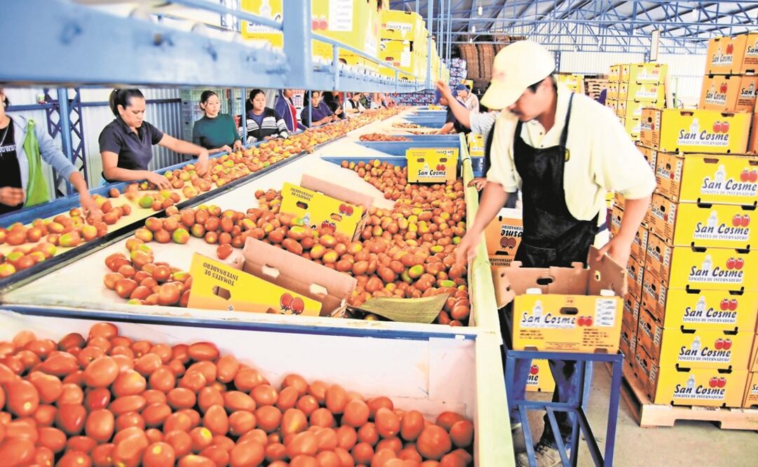 Foto: Archivo/ ELUNIVERSAL