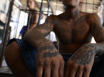 EU detiene a supuesto líder de la Mara Salvatrucha en la costa este; fiscal y jefe del FBI participan en operativo de captura