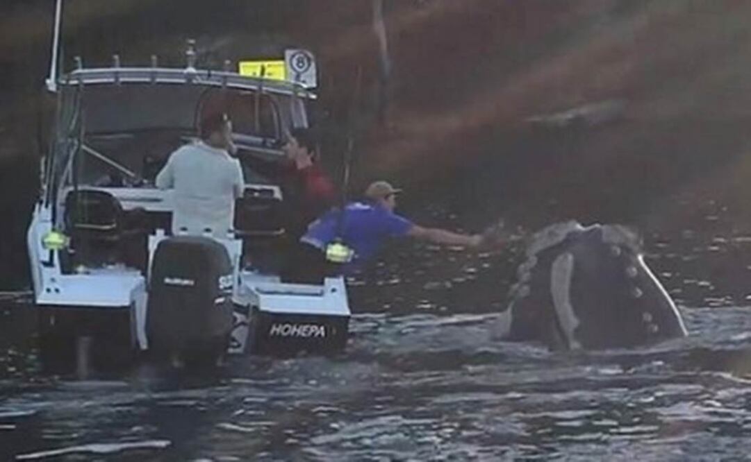 Plástico demora alrededor de 400 años en degradarse. Foto: Facebook Michael Riggio