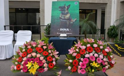 Rinden homenaje a “Inna",  perrita que halló fosa con restos de mujeres en vivienda del "Canibal de Atizapán"
