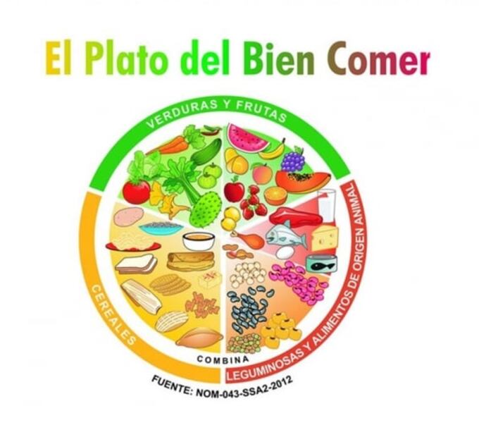 ¿Por qué es importante el plato del bien comer?