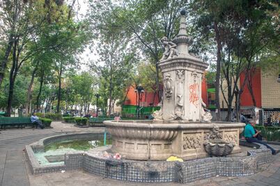 Colonia Centro es aquejada por 11 grandes problemas