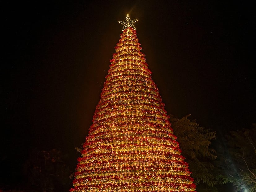 Luces y decoraciones transforman los Jardines de México en un paisaje navideño inolvidable. Foto: Facebook Jardines de México