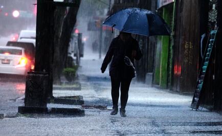 ¿Qué causa el olor a tierra mojada tras  la lluvia?