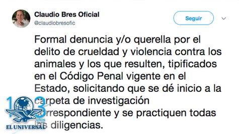 Muestran denuncia contra sujeto que apuñaló a perro al que ofrecía comida