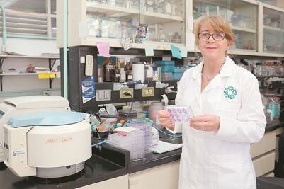 “El Covid-19 es un virus más contagioso que letal”