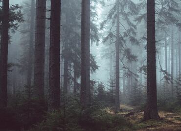 ¡Ah caray, soy yo! Hombre reportado como "desaparecido" apoya en su propia búsqueda