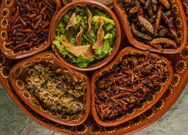 12 razones para incluir insectos en tu alimentación