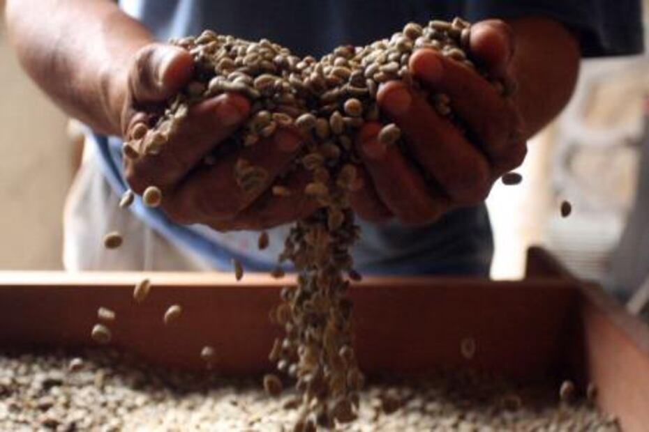 ¿Conoces las 16 cosas que sólo pueden producirse en México?