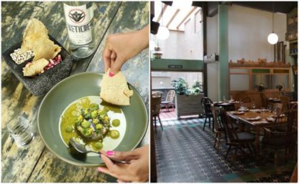 Experiencias mezcaleras alternativas en CDMX