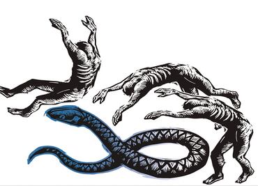 Sucesión en la UNAM: entre destapados y agazapados