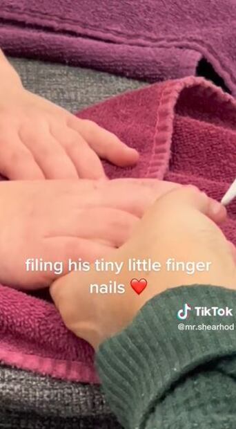 Padre lleva a hijo de 3 años a la manicura; se pinta las uñas y la reacción de su maestro se vuelve viral