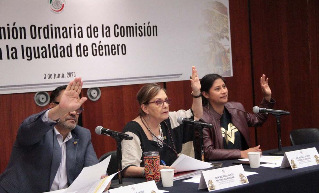 Senado crea subcomisiones para cumplir compromisos internacionales sobre derechos de mujeres. Foto: Especial