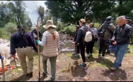 Continúan jornadas de búsqueda de Ana Ameli sin éxito; han pasado 14 días desde su desaparición