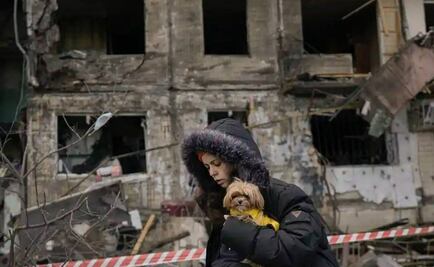 Hallan más de 300 perros muertos en refugio de Ucrania; pasaron semanas sin agua ni comida