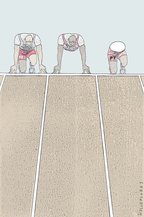 Cartón de HELIOFLORES