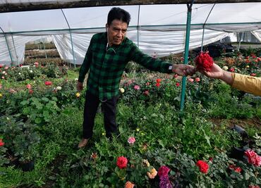 Día de San Valentín: los países con más infieles, ¿qué lugar ocupa México?